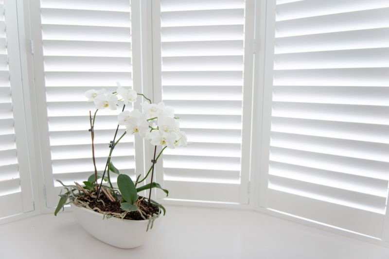 Shutters Replacement in Denver County, CO